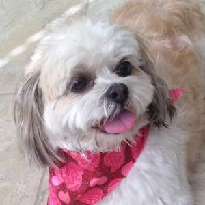 Meet your Posher, Bertha